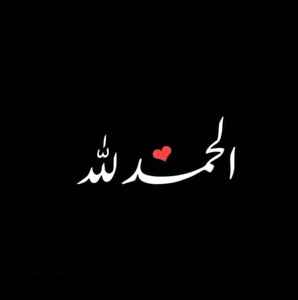 pic loading ...