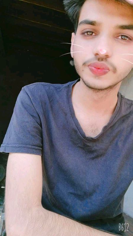pic loading ...