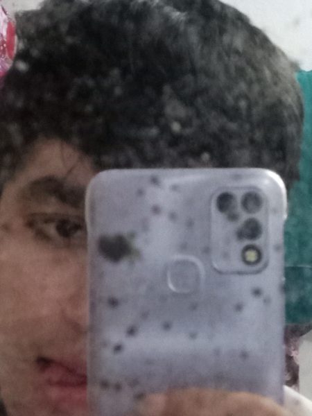 pic loading ...
