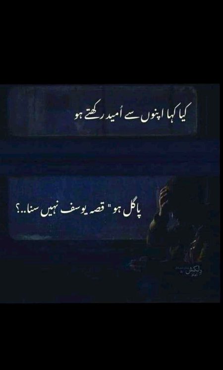 pic loading ...