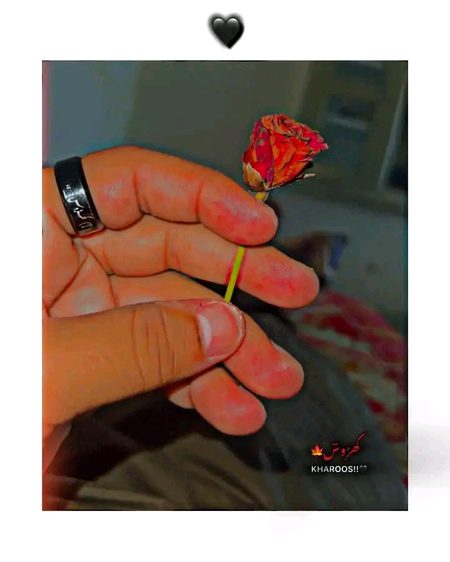 pic loading ...