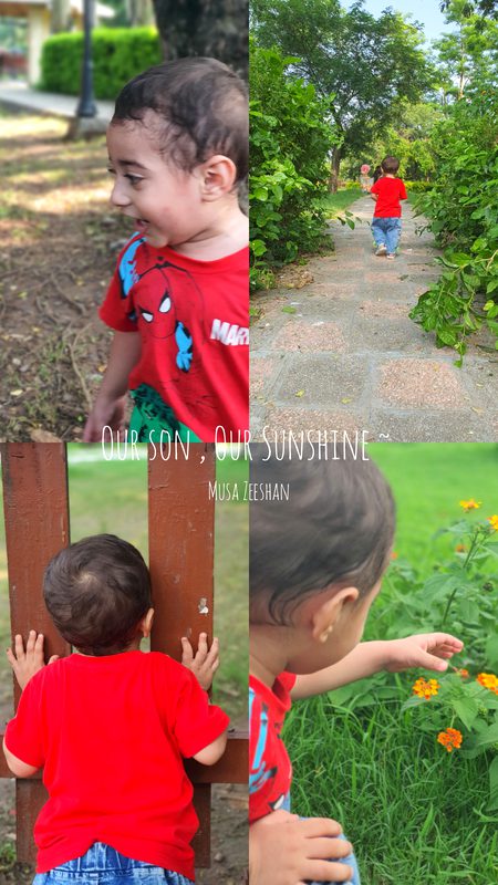pic loading ...