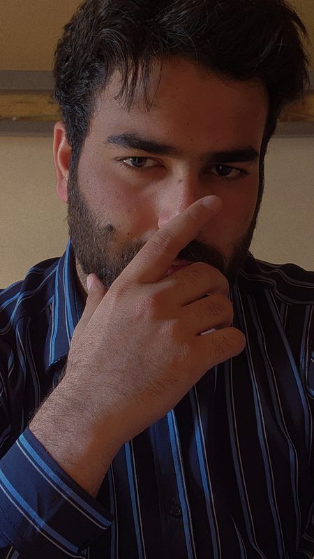 pic loading ...