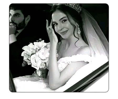 pic loading ...