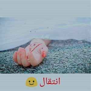 pic loading ...