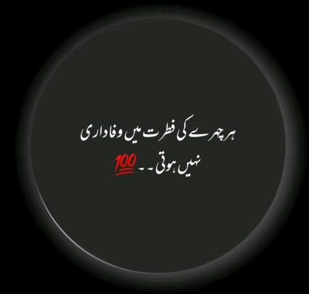 pic loading ...