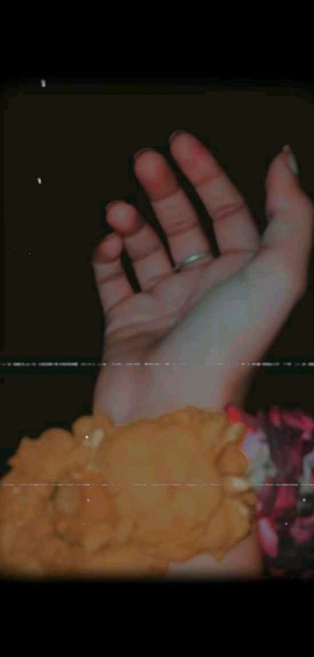 pic loading ...
