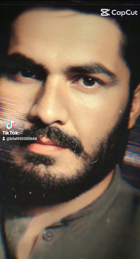 pic loading ...