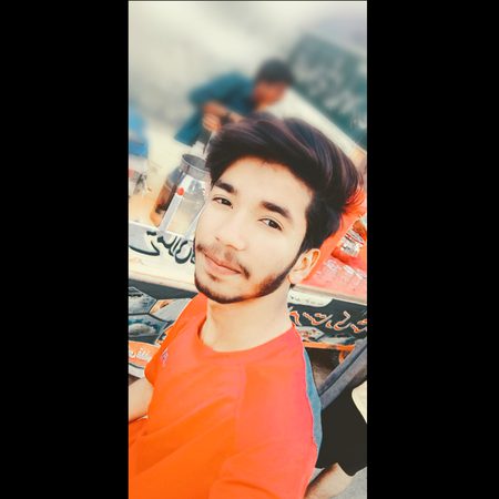 pic loading ...