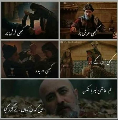 pic loading ...