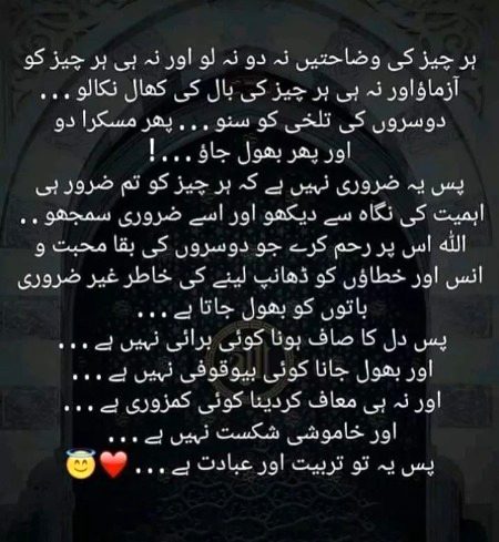 ❤💚💜❤💚💜