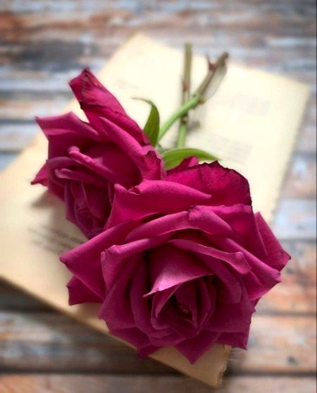 Beautiful Nature image