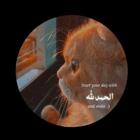 Life Advice image