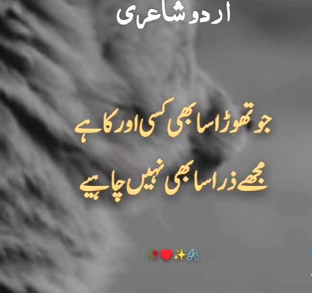 Attitude Quotes image