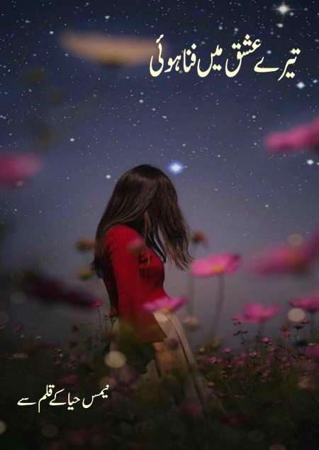 Romantic Novels image