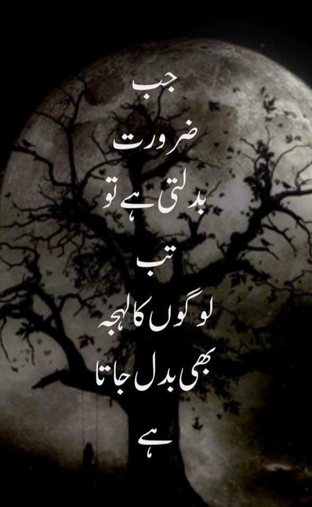 Life Advice image