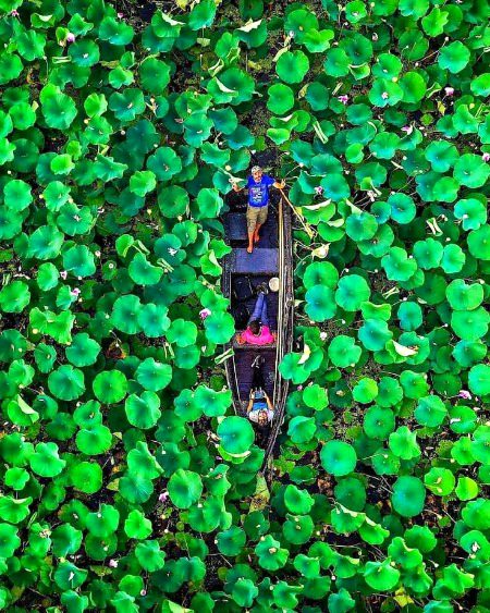Beautiful Nature image