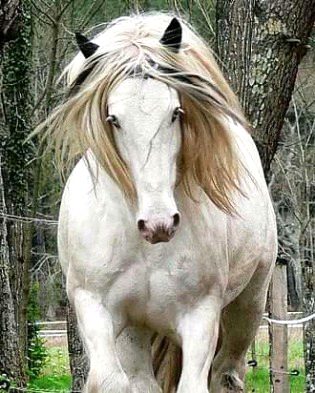 Beautiful Nature image