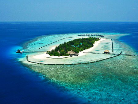 Beautiful Nature image