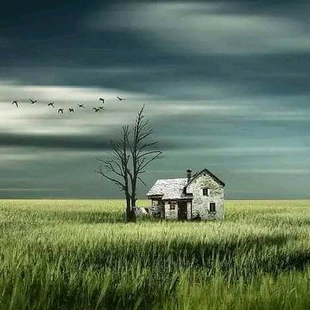 Beautiful Nature image
