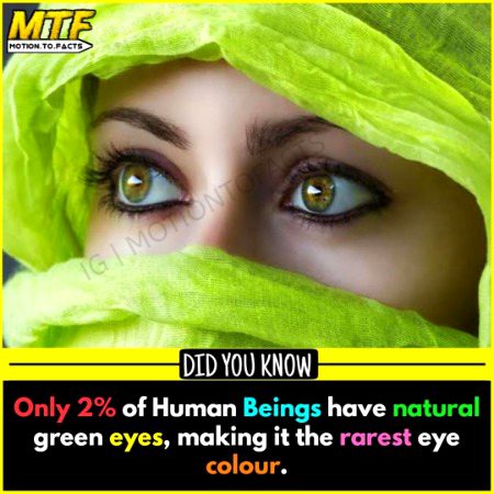 Interesting Posts image