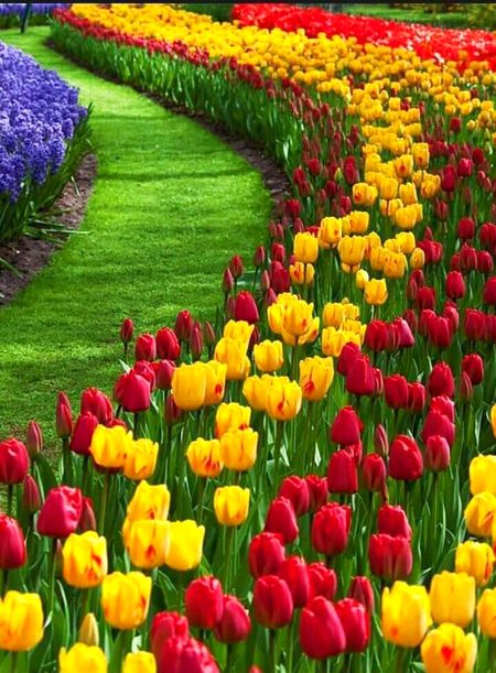 Beautiful Nature image