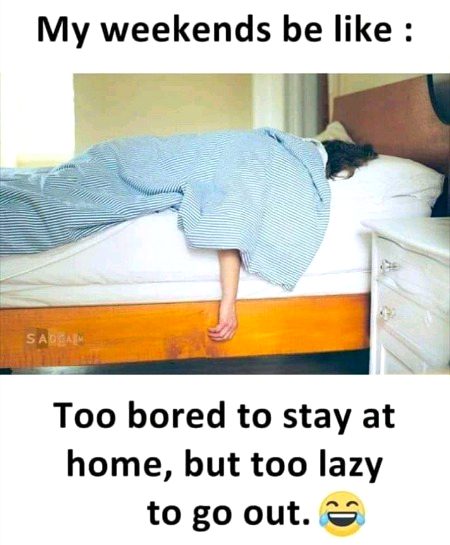 Memes & Satire image