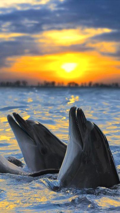 Beautiful Nature image