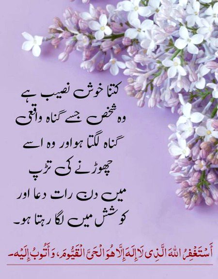 Islamic Quotes image