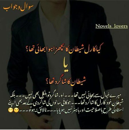 Romantic Novels image