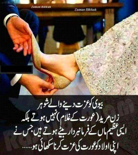 BiLkUl sAhi 💯