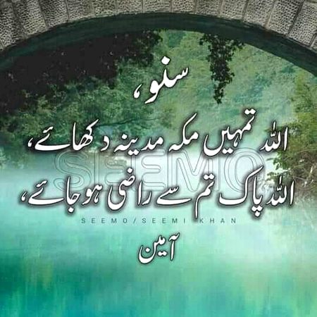 ❤💚💜❤💚💜❤💚