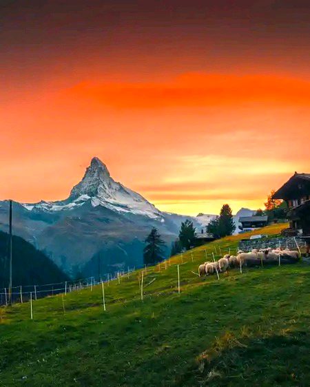 Beautiful Nature image