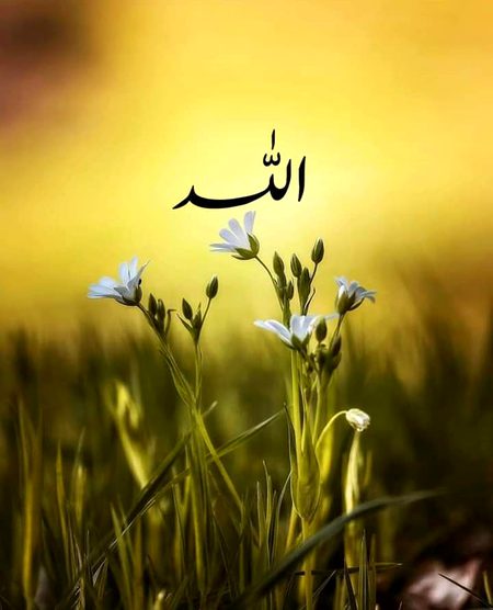 Islamic Quotes image