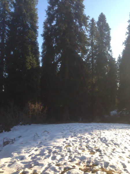 Beautiful Nature image