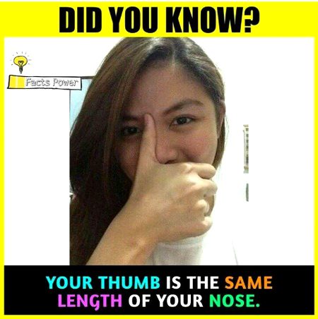 Interesting Posts image