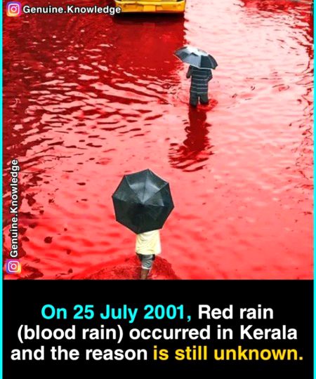 Interesting Posts image