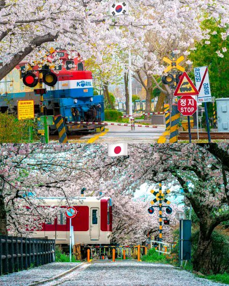 Beautiful Nature image