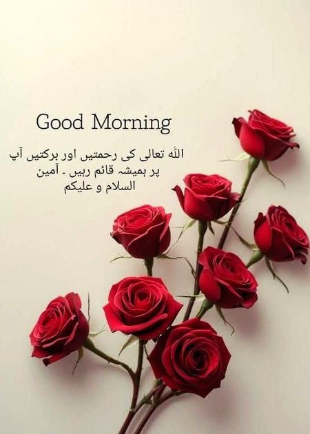 Beautiful Nature image