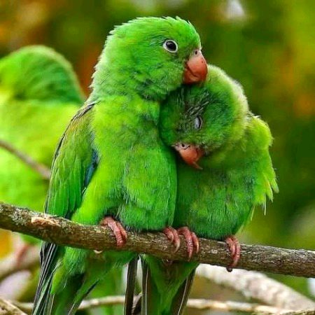 Beautiful Nature image