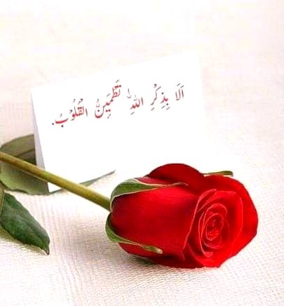 Islamic Quotes image