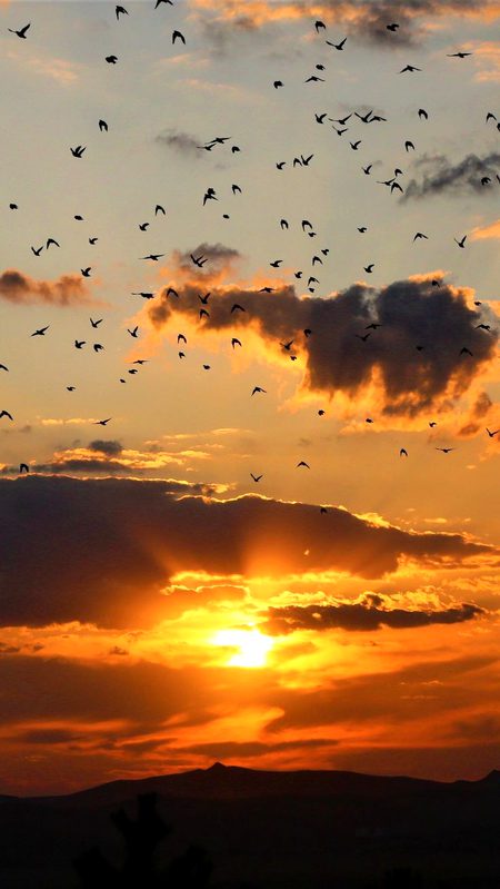 Beautiful Nature image
