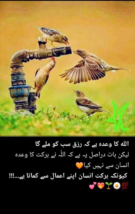 Islamic Quotes image