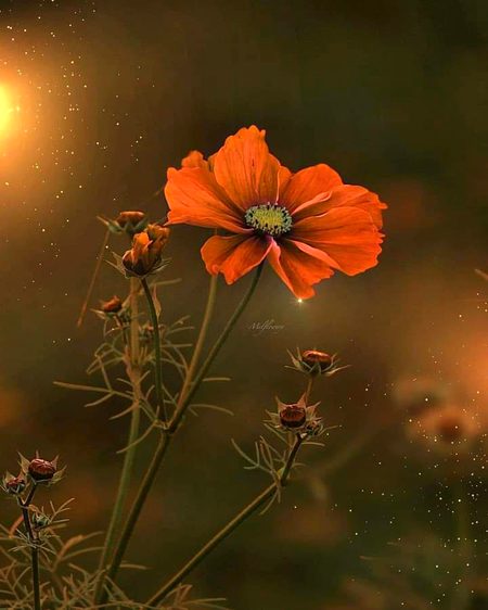 مجھ کو روکا ھوا ھے لمحوں میں..
زندگی___ خود گُزرتی جارہی ھے....