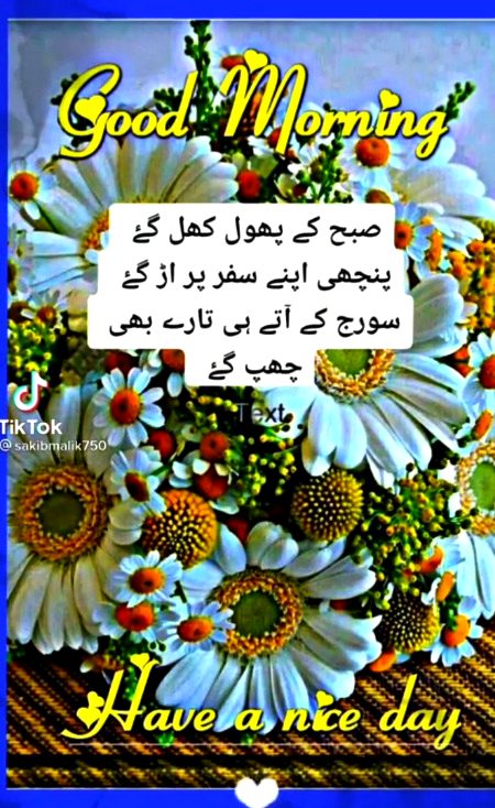 Assalam o Alaikum 💞🤲