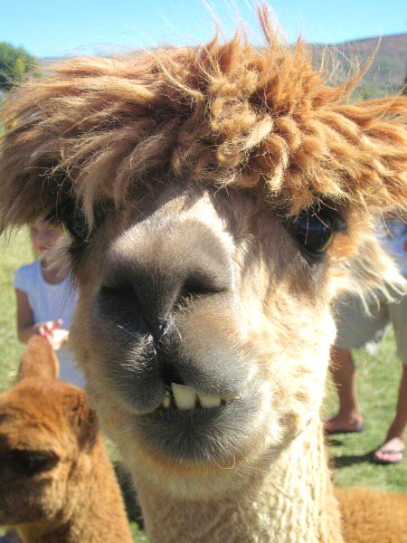 Beautiful Nature image