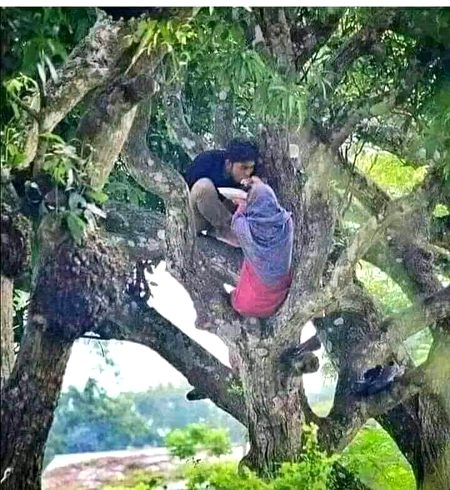 سوچا بھی نہ تھا کہ ایک دن ایسا بھی آۓ گا طوطا رہے گا پنجرے میں اور درخت پر بابو تھا تھاۓ گا