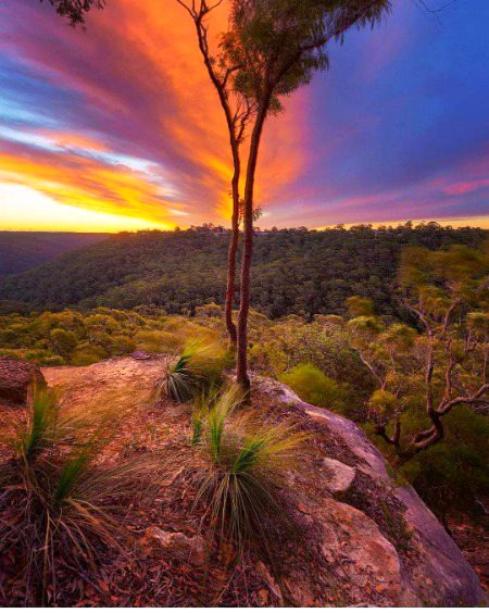 Beautiful Nature image