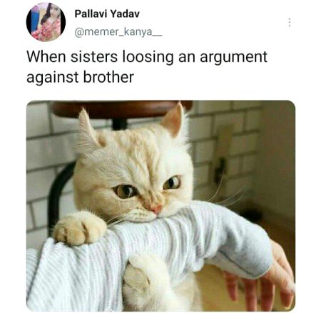 Memes & Satire image