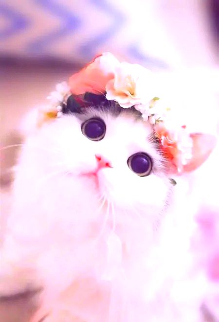 Beautiful Nature image